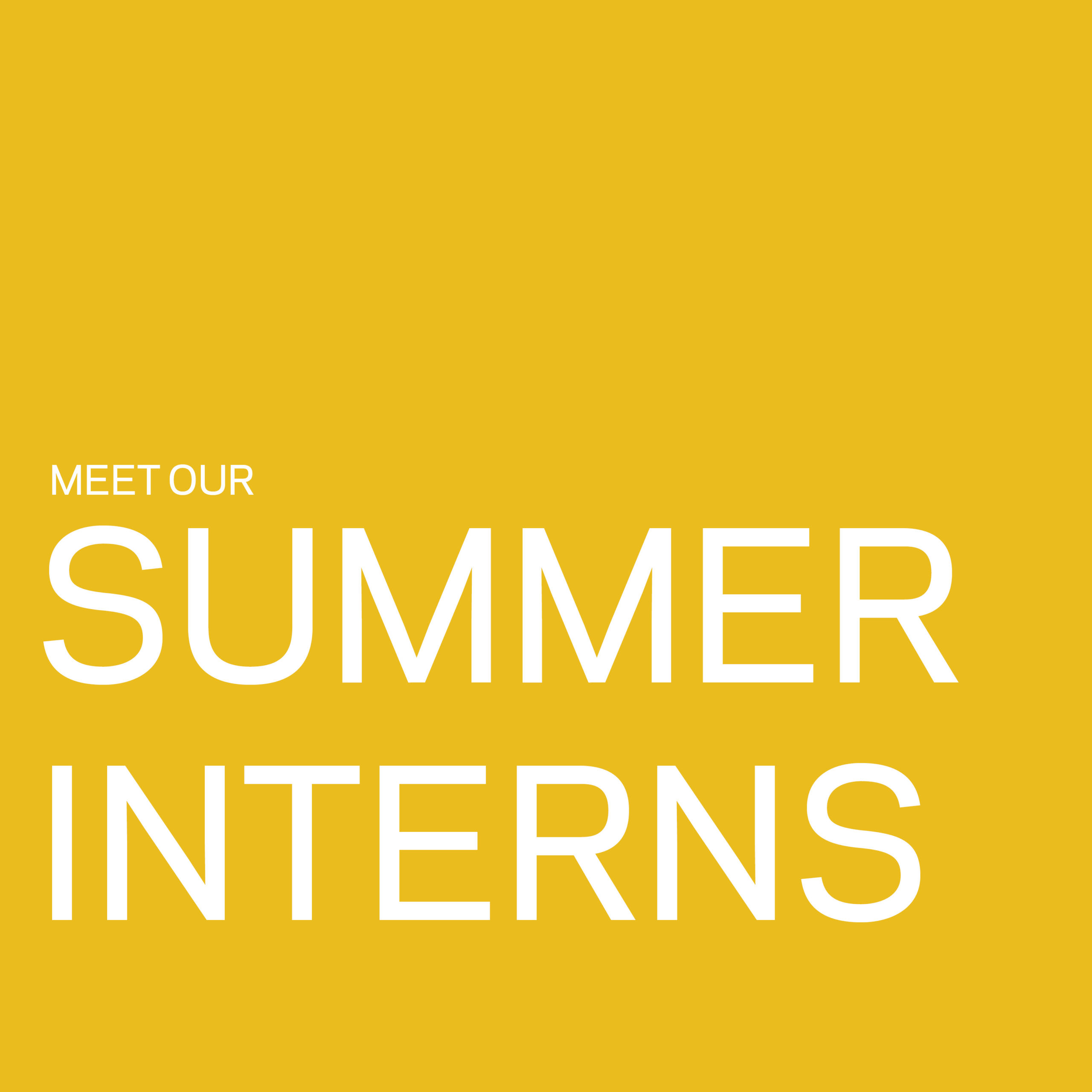 Advent Welcomes New Summer Interns 1